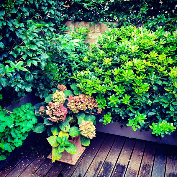 Patio a Treviso
