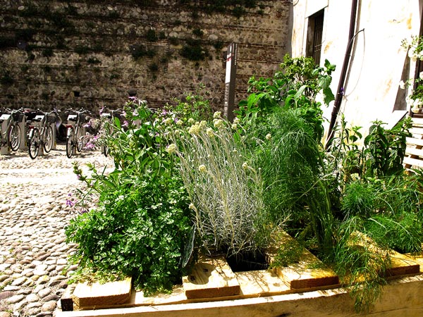 Giardini a Bassano 2011