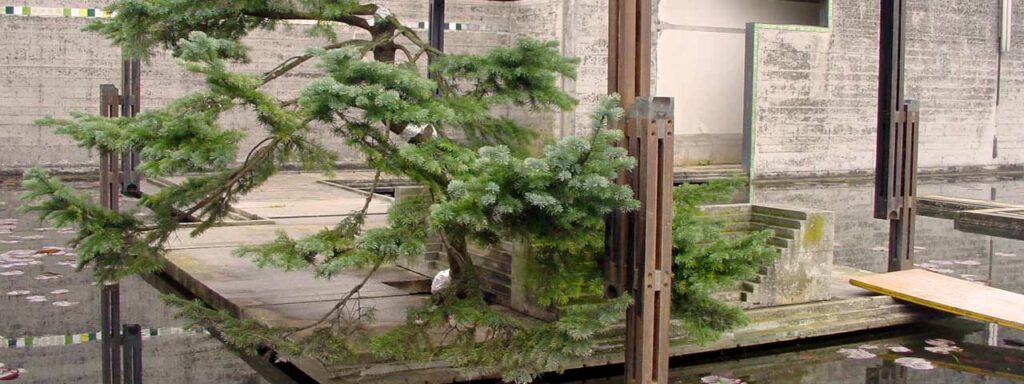 Giardini&Giardini - Restauri