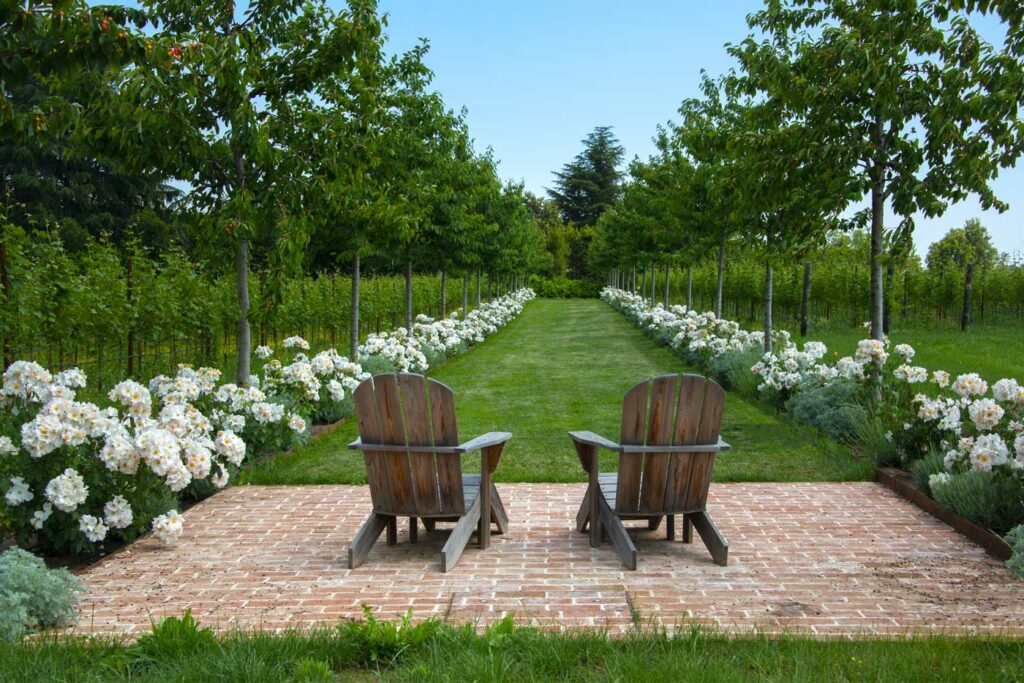 Ca'Apollonio filare ciliegi