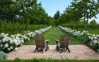 Ca’ Apollonio Heritage