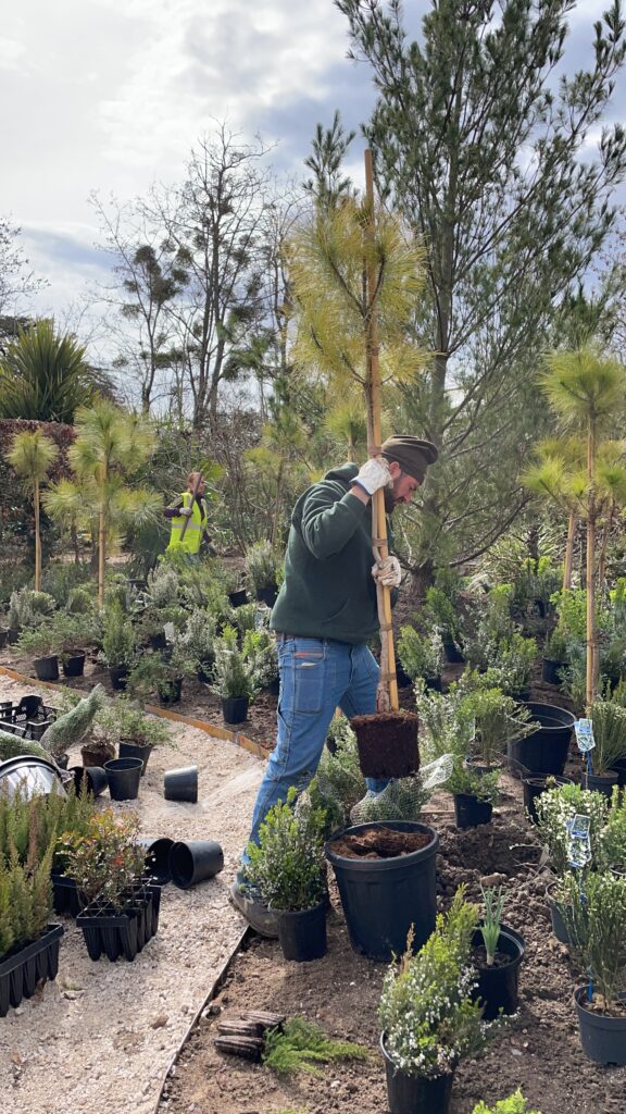 3° step-creazione delle bordure