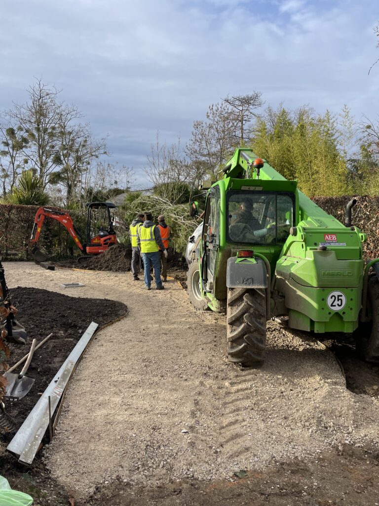 2° step-le grandi alberature, il Pinus canariensis